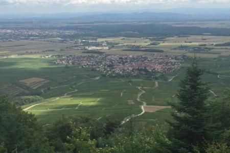 pohled z vyhlídky na Eguisheim