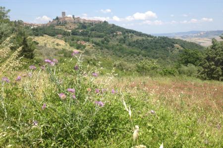 Montecatini bylo vysoko na kopci