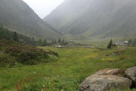 ve výšce 2000m n. m. začalo sněžit !!!