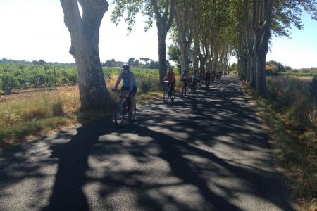 platanovou alejí opouštíme Canal du Midi