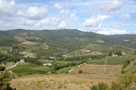 typická krajina v Chianti