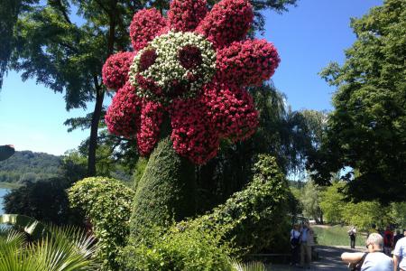 další den- květinový ostrov Mainau