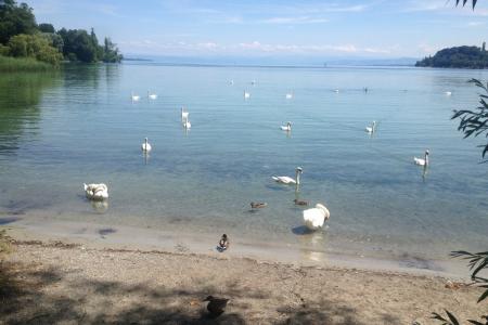 Bodamské jezero v plné kráse