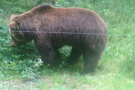 byl čas i na návštěvu Wild parku