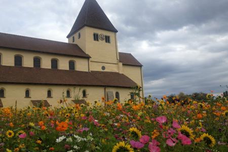 květinové pole před klášterem