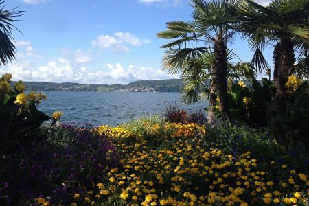 poslední etapa, pohled na jezero z Uberlingenu