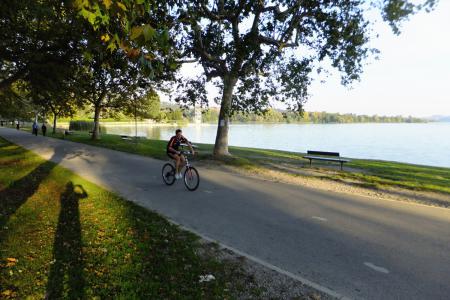 jezero Varese