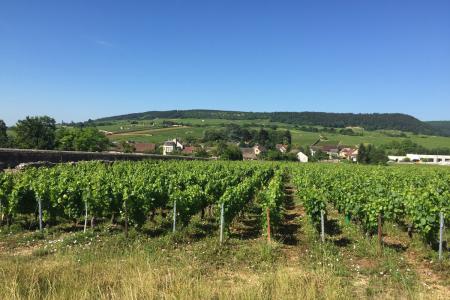 v den volna jsme všichni vyrazili do Beaune