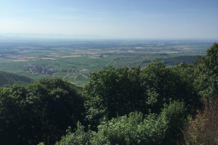 2 etapa začala prohlídkou hradu Koenigsbourg, vyhlídka od hradu