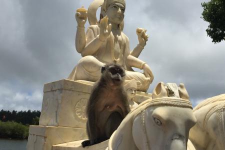 další sochy a všude přítomné opice