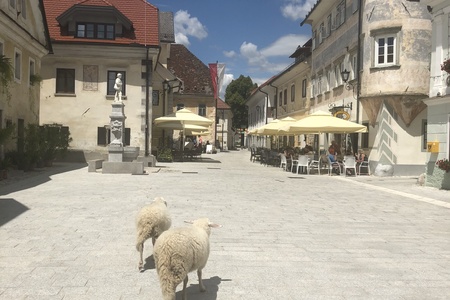 Slovinské moře a jezero Bled, 25.6. - 1.7. 2018- 2. skupina