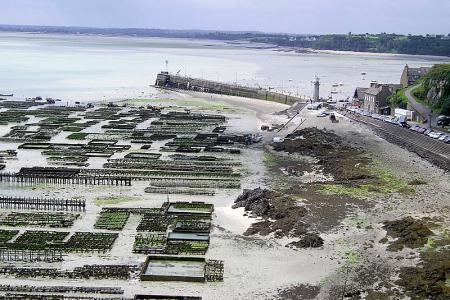 Cancale - město ústřic