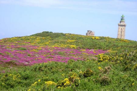 Cap Frehel - krunčiky a vřes