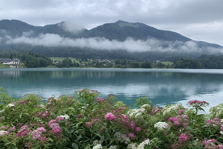 5den- Fuschl am See- Sankt Gigen- Mondsee