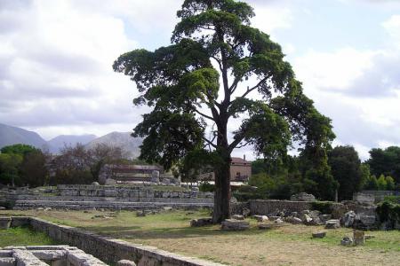 Paestum