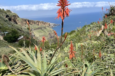 Madeira na kole a pěšky - PORTUGALSKO- 12. - 19.5.2022.