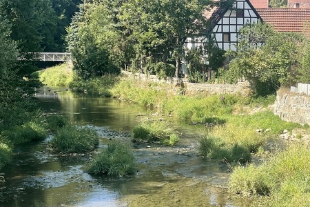 Romantické stezky řeky Tauber - NĚMECKO -13.8. - 17.8.  2022