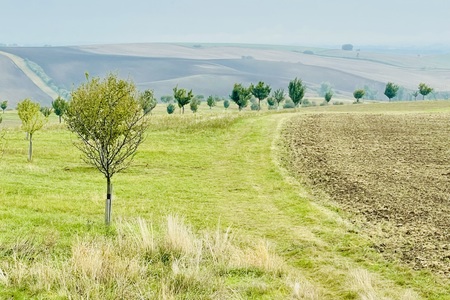 4. etapa