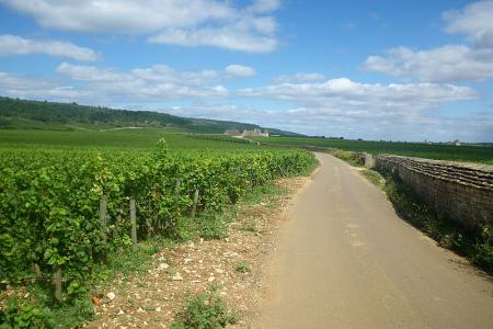 Cesta vinicemi do Nuits