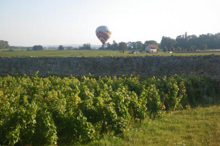 Balón nad vinicemi