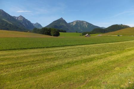 krajina před Wolfgangsee