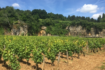 Alsasko - FRANCIE - 21.8. - 26.8. 2026