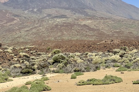 Tenerife, Kanárské ostrovy - ŠPANĚLSKO  - 2.10. - 9.10. 2024, (díky změně letového řádu  byl termín posunut o 2 dny dopředu)